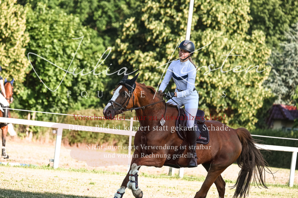 DSC_2768 | Pferde- und Turnierfotografie in Westsachsen. Pferdeportraits, Auftragszeichnungen und intuitive Kunst.