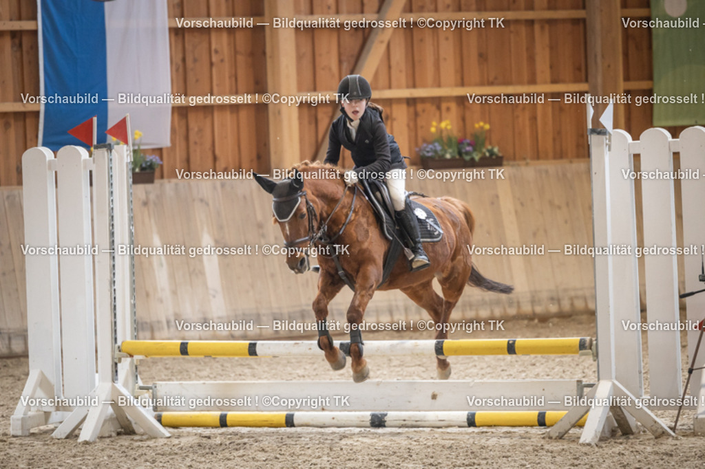 _D5A0064 | Emotionale Pferde- & People-Fotografie rund um Heidelberg, Leimen & Umgebung. Natürliche Fotos von Pferd, Mensch & Familie. Jetzt Termin sichern!