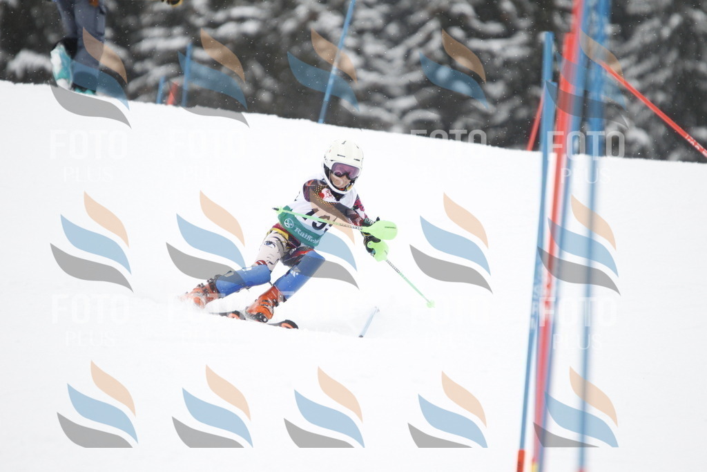 A2045 | holidayphoto