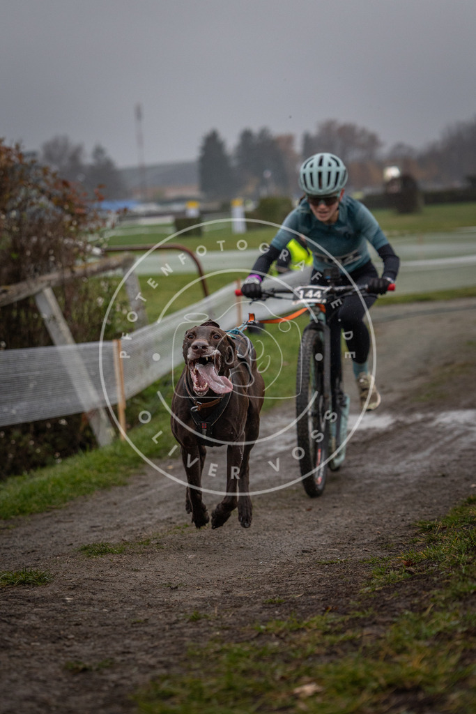 CaniXpix_0L8A0578 | Hundefotografie, Tierfotograf, Pfotenfotografie, Fotoshooting Hund, Hunde Portrait, Hundesport, Hundeportraits, Heideshooting, Hunde, Sportfotograf, Hundefotograf, Turnierhundsport, THS,  - Realisiert mit Pictrs.com