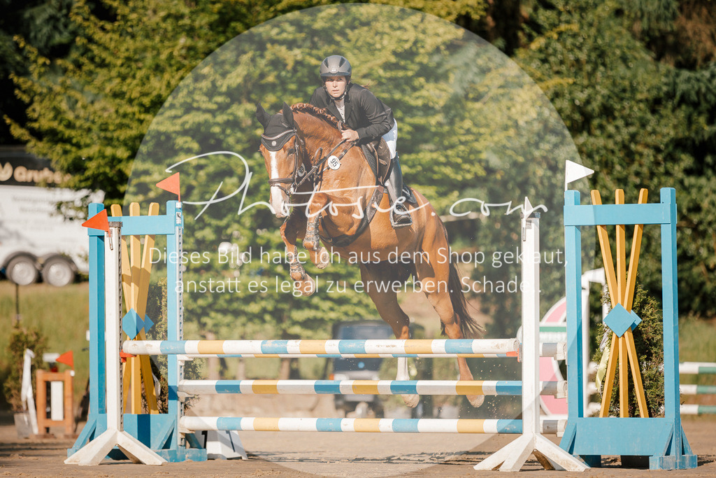 3I6A6163 | Stimmungsvolle Portraits und Reitsportfotografie im Ruhrgebiet und im Münsterland.

Pferdefotografie, Hundefotografie, Tierfotografie, Reportagen, Portraits von Tier und Mensch, Turnierfotografie in Bochum, Recklinghausen, Marl, Haltern am See, Dülmen.. - Realisiert mit Pictrs.com