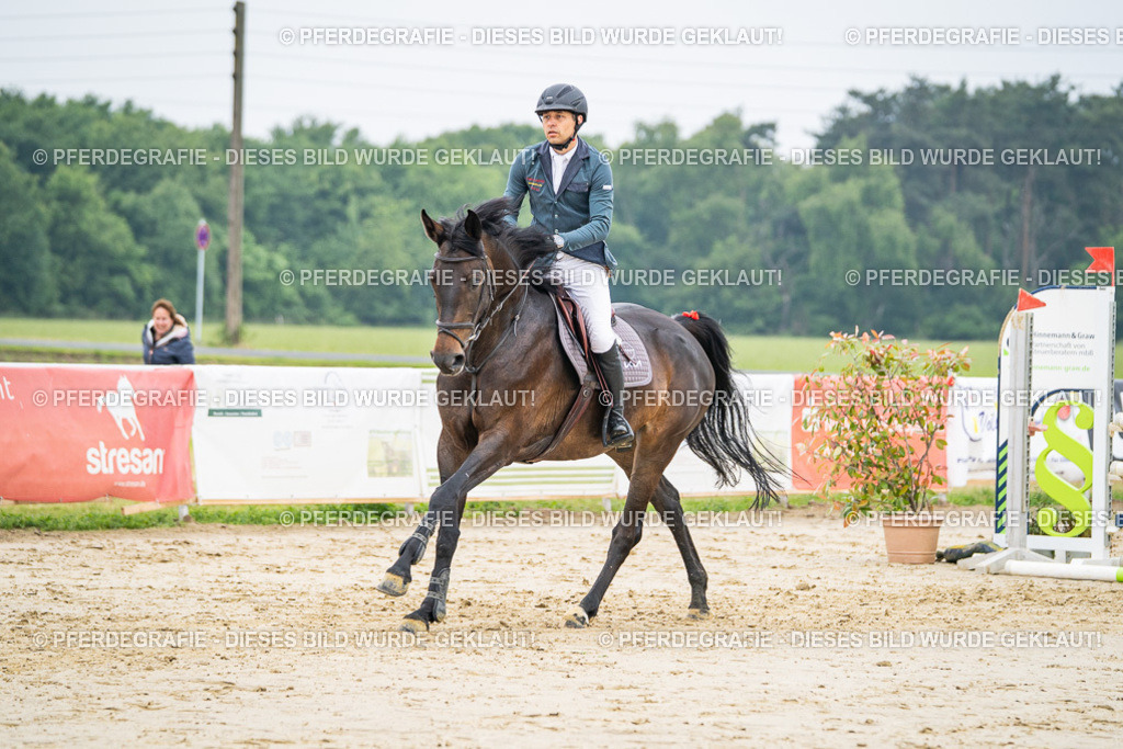 DSC00271 | Pferdegrafie