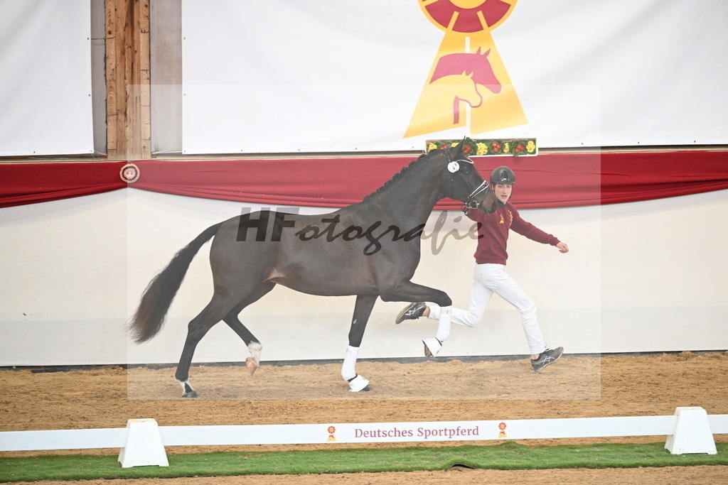 Kat.-Nr. 66 v. Fürstenball_Höchsmann_2250461 | hf-fotografie - Realisiert mit Pictrs.com
