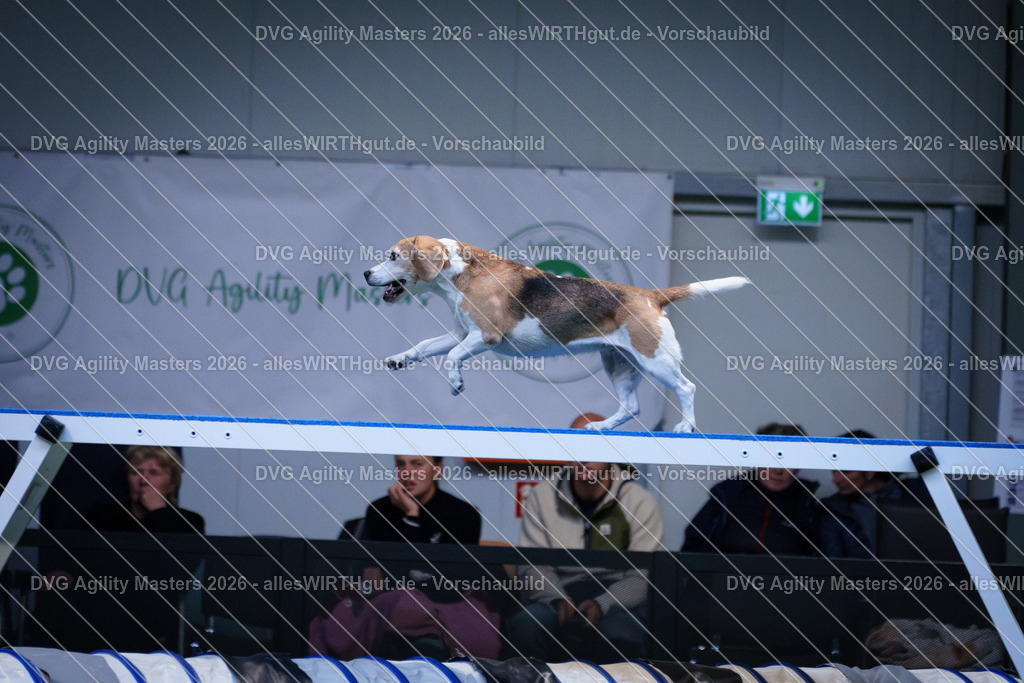 allesWIRTHgut_Tierfotografie-DVG_Agility_Masters_2026-14_50-7R505625 | Professionelle Tierfotografie in Mönchengladbach von Daniel Wirth (allesWIRTHgut). Liebevolle & natürliche Bilder von Hunden & Katzen für unvergessliche Erinnerungen.
