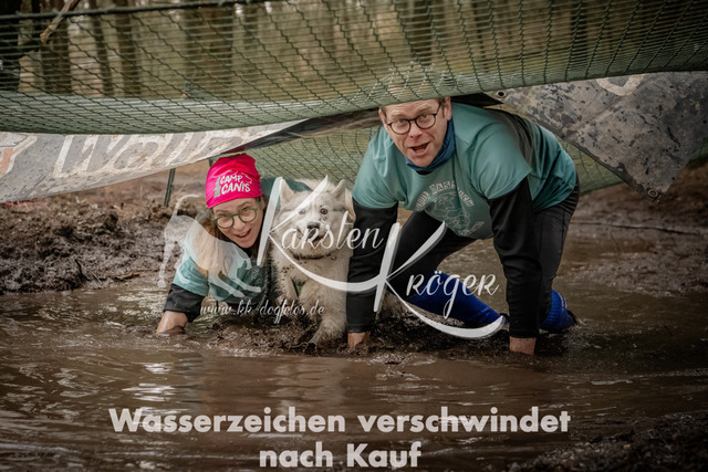 1312_ZZ91702 | kk-dogfotos