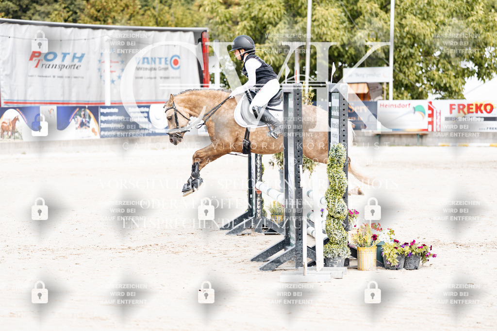 CK906214 | Turnierfotografie Pferdefotografie Trier Rheinland-Pfalz Pferdesport Reitsport Tierfotografie Sportfotografie Pferdevideo Pferdevideografie Equestrianvideography equestrianphotography  - Realisiert mit Pictrs.com
