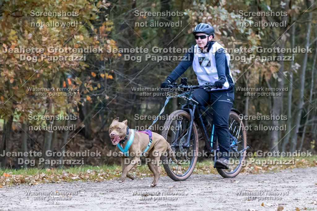 Dog Paparazzi - SD CaniX Championship 2025-251 | Dog Paparazzi Jeanette Grottendiek Fotografie & Videografie - Realisiert mit Pictrs.com