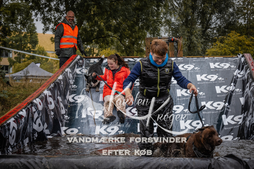 1212_ZZ94666 | kk-dogfotos