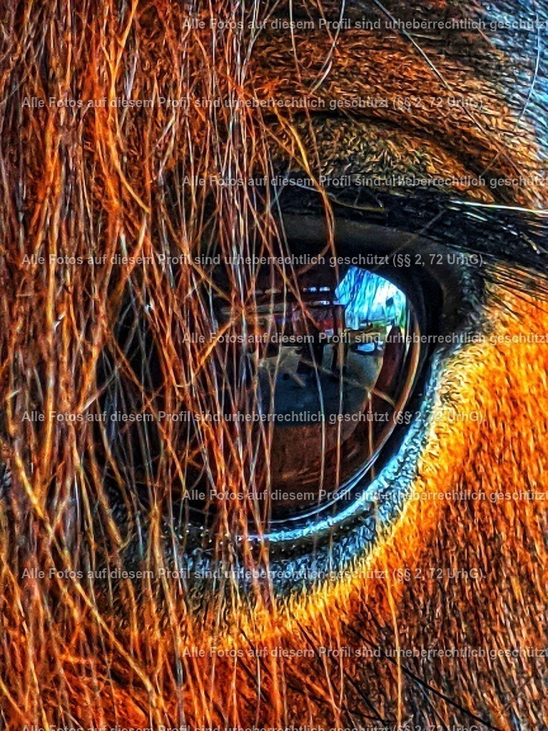 PXL_20201129_095710388-01-02-01 | krollfotografie - Realisiert mit Pictrs.com