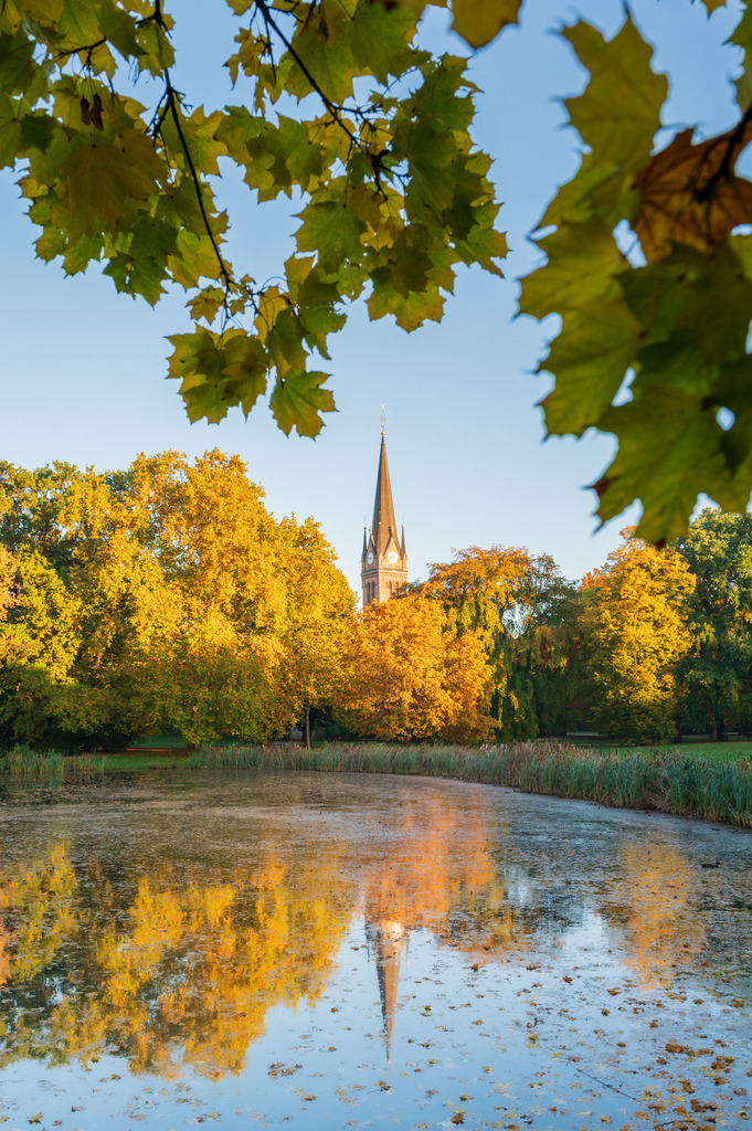 Johanna Park Leipzig | Herbst im Johanna Park Leipzig - Realisiert mit Pictrs.com