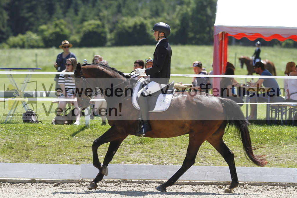 _MG_6698 | equestrian-live-com