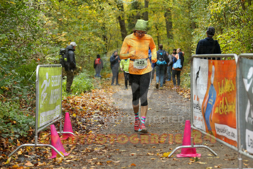 251026_1325_EX1_3401 | Sportfotografie im Rhein-Sieg Kreis, Köln, Bonn, NRW, Rheinland Pfalz, Hessen, etc. Unser Tätigkeitsfeld umfasst den Laufsport vom Volkslauf über den Marathon, Duathlon, Triathon bis zum Ultralauf wie Kölnpfad Ultra oder Schindertrail.