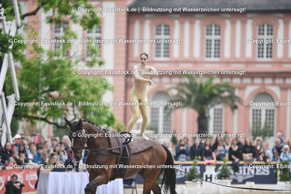 20240519_Voltige_0165 | Foto: Thomas Hartig