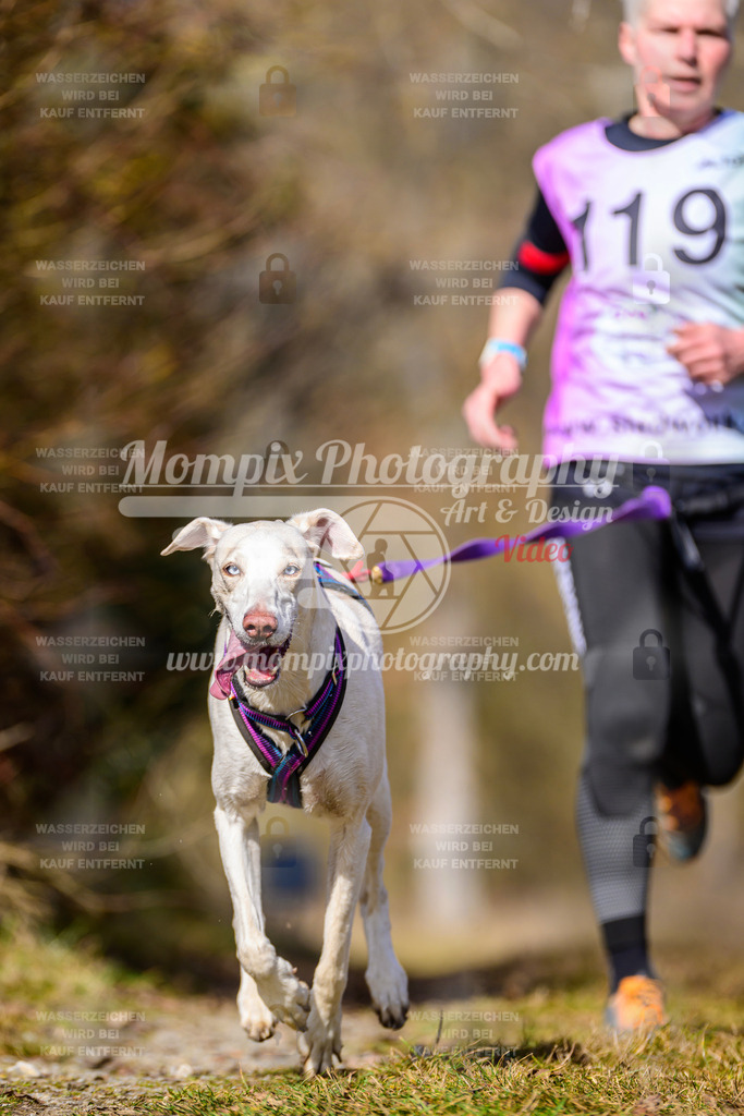 MompixPhotography_Schwabentrail2025_SO_CC-57 | PayLife
