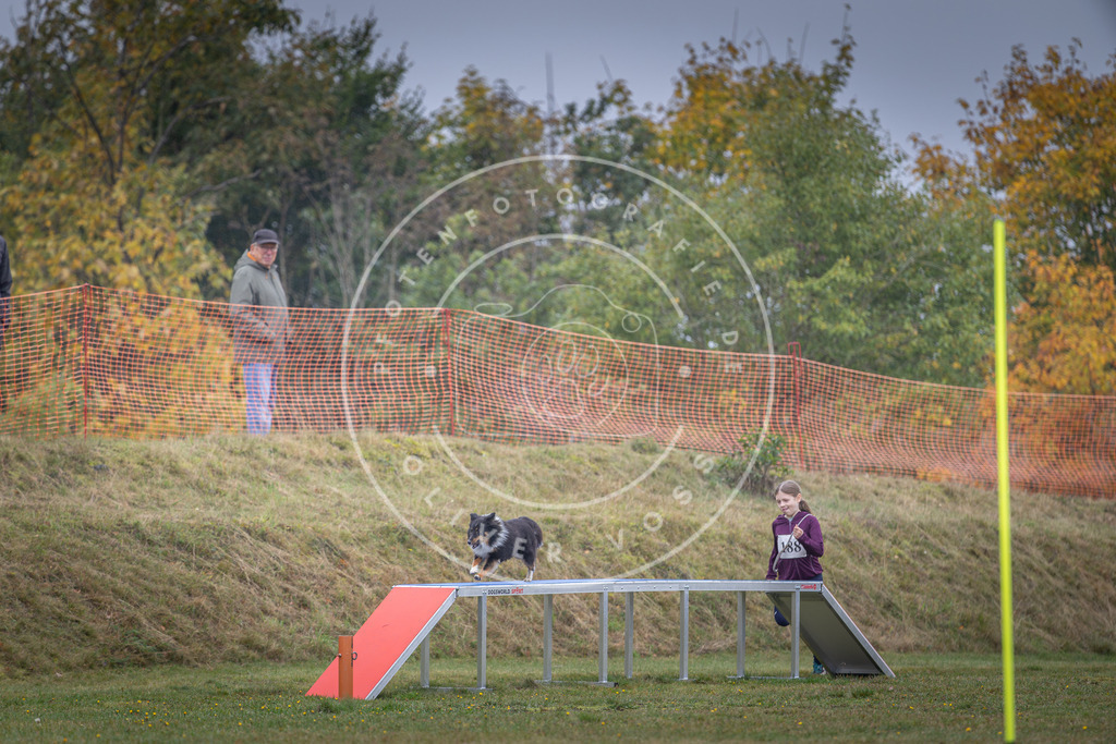 Pfotenfotografie_DV3A0514 | Hundefotografie, Tierfotograf, Pfotenfotografie, Fotoshooting Hund, Hunde Portrait, Hundesport, Hundeportraits, Heideshooting, Hunde, Sportfotograf, Hundefotograf, Turnierhundsport, THS,  - Realisiert mit Pictrs.com