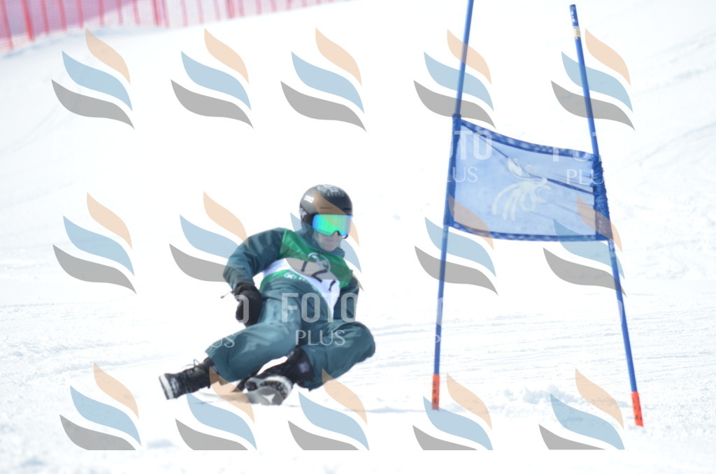 D9268 | holidayphoto