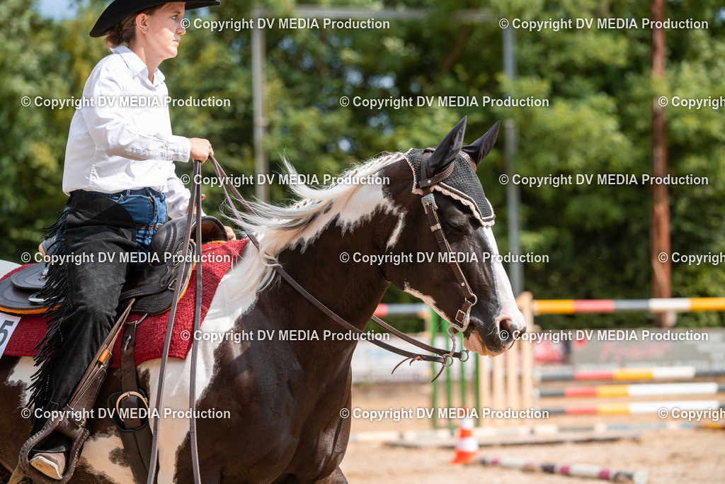 ZS2_7707 | dv-media-shop - Realisiert mit Pictrs.com