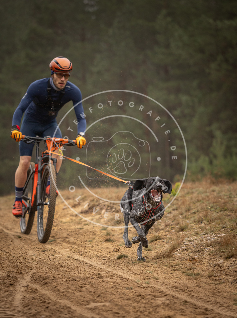 Pfotenfotografie_DV3A2418 | Hundefotografie, Tierfotograf, Pfotenfotografie, Fotoshooting Hund, Hunde Portrait, Hundesport, Hundeportraits, Heideshooting, Hunde, Sportfotograf, Hundefotograf, Turnierhundsport, THS,  - Realisiert mit Pictrs.com
