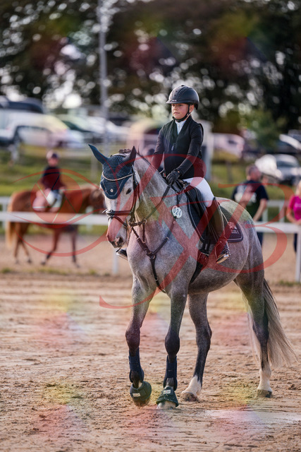 2026_10_03_Siefer-Hof_144949_Z81_27984875 | Professionelle Reitsport-, Turnier- und Eventfotografie von Robert Broda. Galerien mit ausgewählten und bearbeiteten Bildern direkt online ansehen und bestellen.