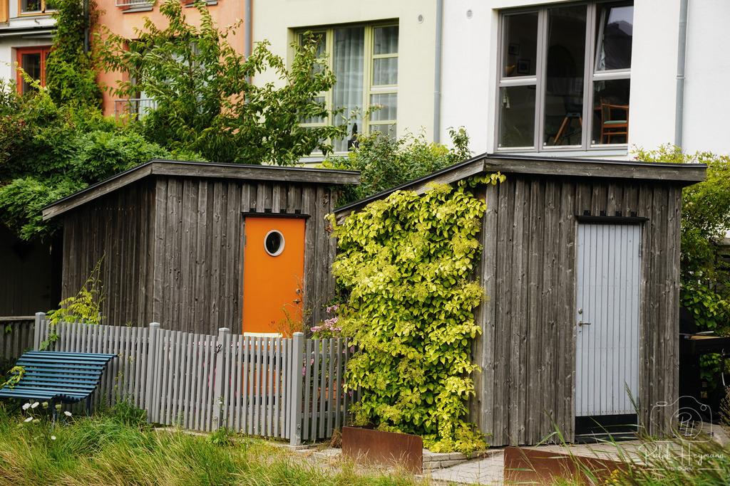 DSC03494 | Ich fotografiere leidenschaftlich Landschaften, Architektur, Portraits und Tiere - Realisiert mit Pictrs.com