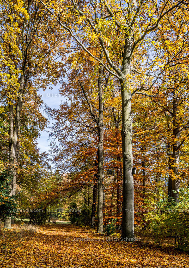10049-4562 - Landschaftspark Degenershausen | Stockfoto und Bilderpool mit Bildmaterial aus Deutschland, dem Harz, Halberstadt, Quedlinburg, Wernigerode und weltweit. Qualitativ hochwertige und professionelle Fotos anschauen und kaufen. - Realisiert mit Pictrs.com