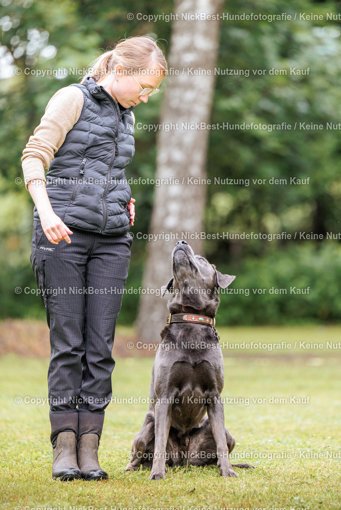 RO-Blumenthal-2026-Nickbest-Hundefotografie-1015 | Dein Hund! Dein Moment! Deine Erinnerungen! Hundefotografie in Bremen Blumenthal. Ich fange die besonderen Momente deines Vierbeiners ein – ob Indoor mit Blitzanlage oder in der freien Natur. Sicher dir dein Moment und dein Termin für eure Erinnerungen.