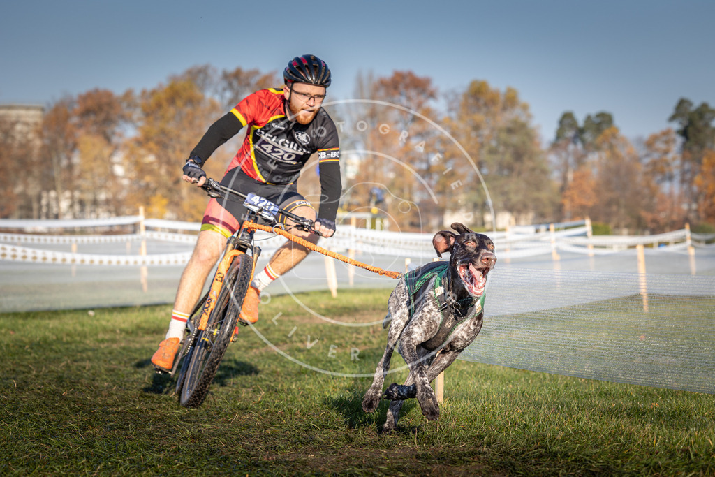 CaniXpix_0L8A4148 | Hundefotografie, Tierfotograf, Pfotenfotografie, Fotoshooting Hund, Hunde Portrait, Hundesport, Hundeportraits, Heideshooting, Hunde, Sportfotograf, Hundefotograf, Turnierhundsport, THS,  - Realisiert mit Pictrs.com