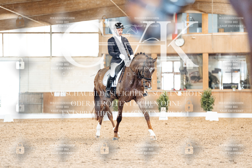 CK909360 | Turnierfotografie Pferdefotografie Trier Rheinland-Pfalz Pferdesport Reitsport Tierfotografie Sportfotografie Pferdevideo Pferdevideografie Equestrianvideography equestrianphotography  - Realisiert mit Pictrs.com