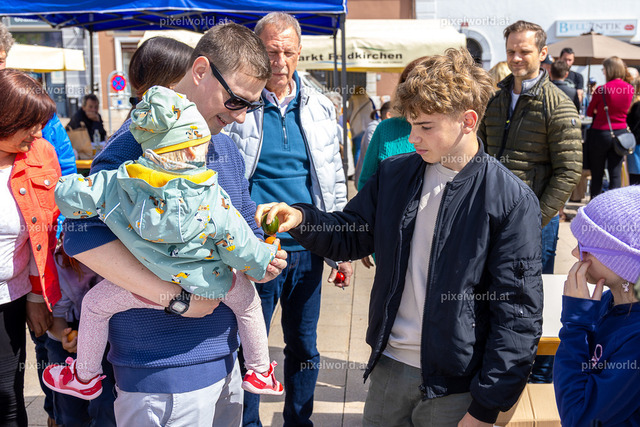 Eierpecken am Hauptplatz | Bildershop von pixelworld.at - Realisiert mit Pictrs.com