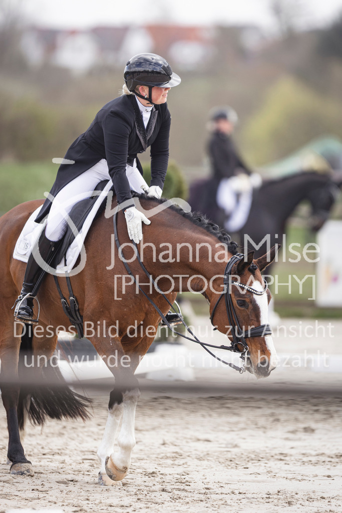 260331_Fruehlingsfest_Dressurreiter-S-401 | Deine schönsten Turniermomente als professionelle Fotos! Entdecke hochwertige Pferdesport-Fotografie im Online-Shop. Jetzt Fotos finden & bestellen!