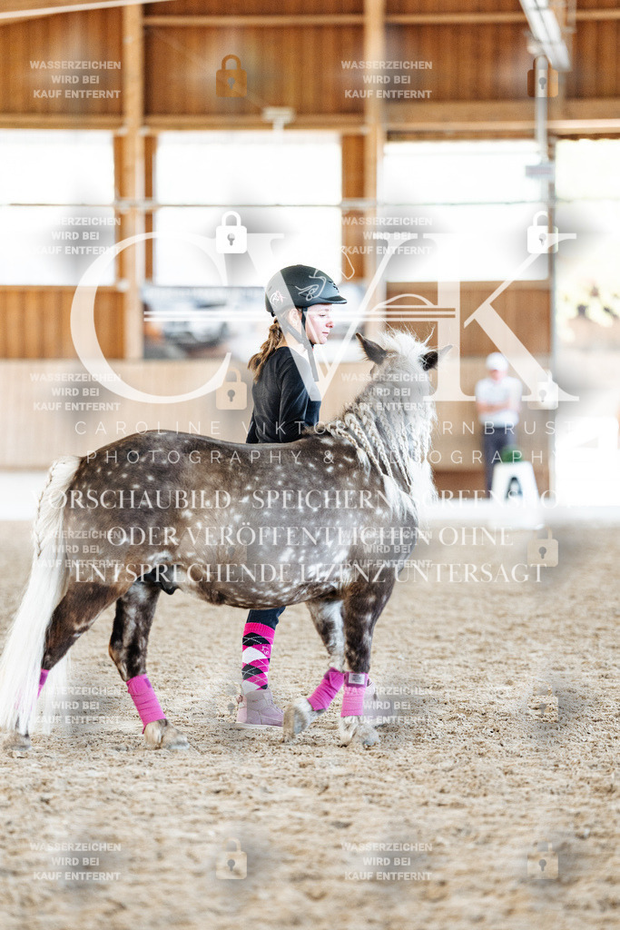 CK907086 | Turnierfotografie Pferdefotografie Trier Rheinland-Pfalz Pferdesport Reitsport Tierfotografie Sportfotografie Pferdevideo Pferdevideografie Equestrianvideography equestrianphotography  - Realisiert mit Pictrs.com