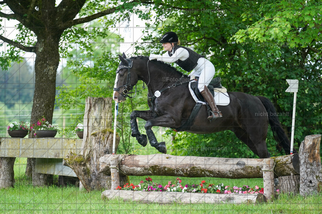 20240518-FAH03999 | Turnierbilder von Niederseon, Turnierfotografen Bayern, Fotoagentur Herrmann, Geländebilder, Reitsportfotografie
