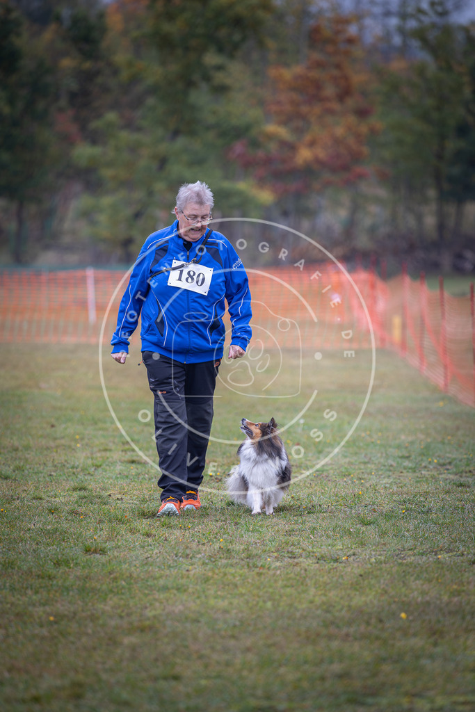 Pfotenfotografie_DV3A9537 | Hundefotografie, Tierfotograf, Pfotenfotografie, Fotoshooting Hund, Hunde Portrait, Hundesport, Hundeportraits, Heideshooting, Hunde, Sportfotograf, Hundefotograf, Turnierhundsport, THS,  - Realisiert mit Pictrs.com