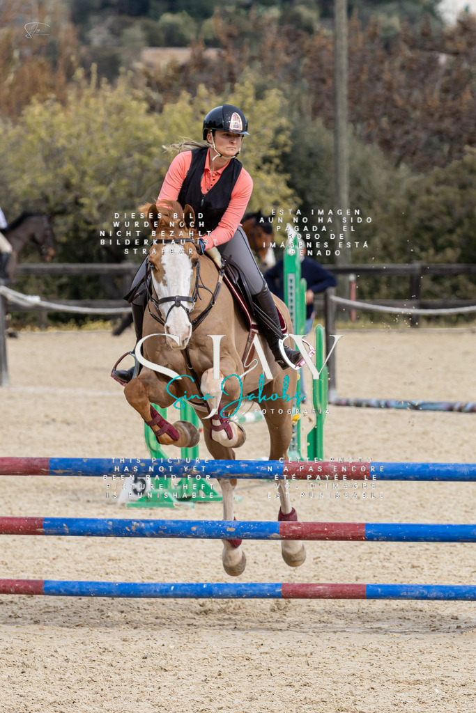 IMG_3814 | s-jay-photography - Realisiert mit Pictrs.com