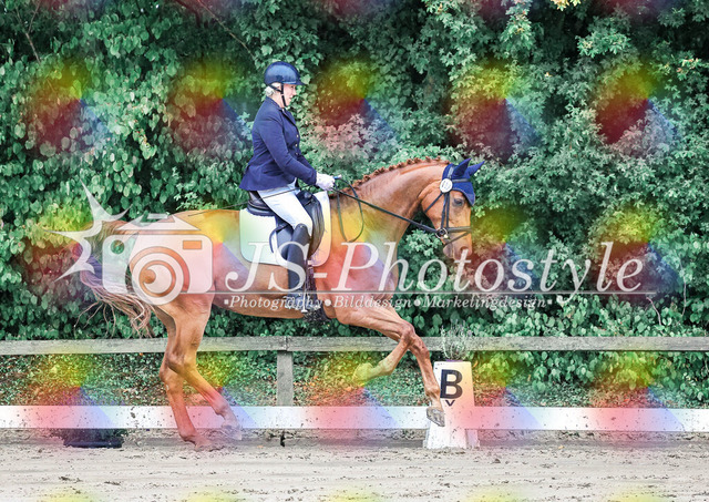 20250727_Dressurpferdeprfg_Kl.L-27 | JS-Photostyle - Sport-/Portrait- & Eventfotografie
