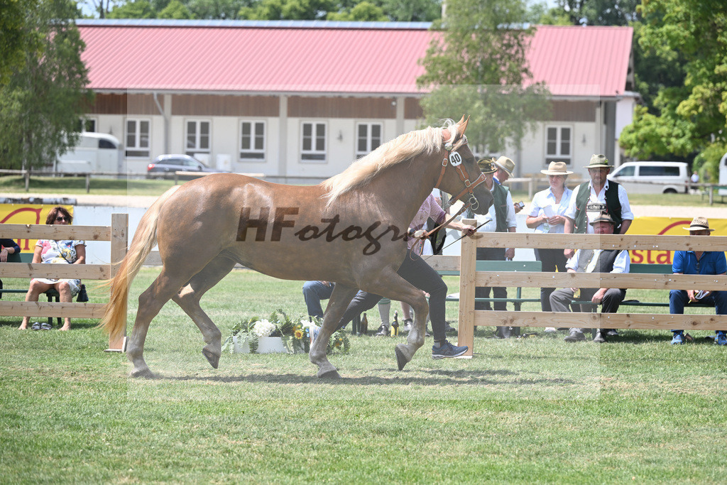 Kat-Nr. 40 Una_Lichtenegger_20230612 | hf-fotografie - Realisiert mit Pictrs.com