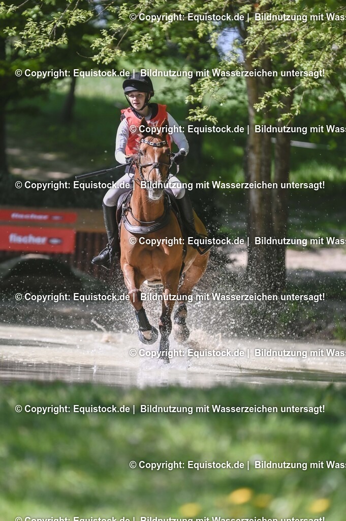 20250517_CCI2_Gelände_0780 | Foto: Thomas Hartig