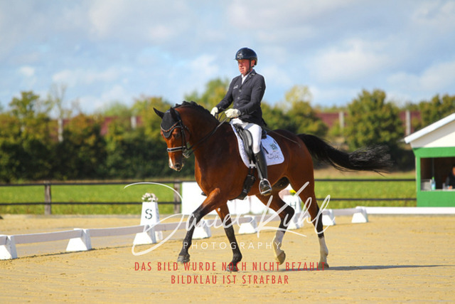 DKP43966 | Turniersportfotografie; Pferdefotografie; Dressurfotografie