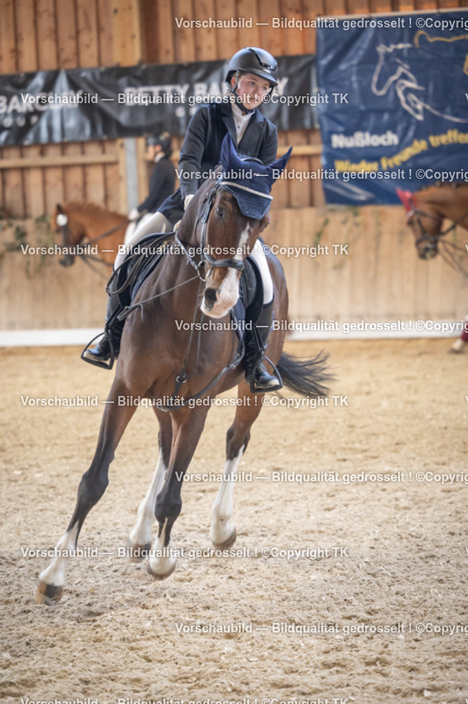 _D5A5534 | Emotionale Pferde- & People-Fotografie rund um Heidelberg, Leimen & Umgebung. Natürliche Fotos von Pferd, Mensch & Familie. Jetzt Termin sichern!