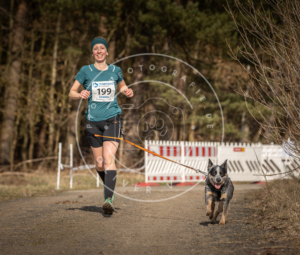 DV3A5927 | Hundefotografie, Tierfotograf, Pfotenfotografie, Fotoshooting Hund, Hunde Portrait, Hundesport, Hundeportraits, Heideshooting, Hunde, Sportfotograf, Hundefotograf, Turnierhundsport, THS,  - Realisiert mit Pictrs.com