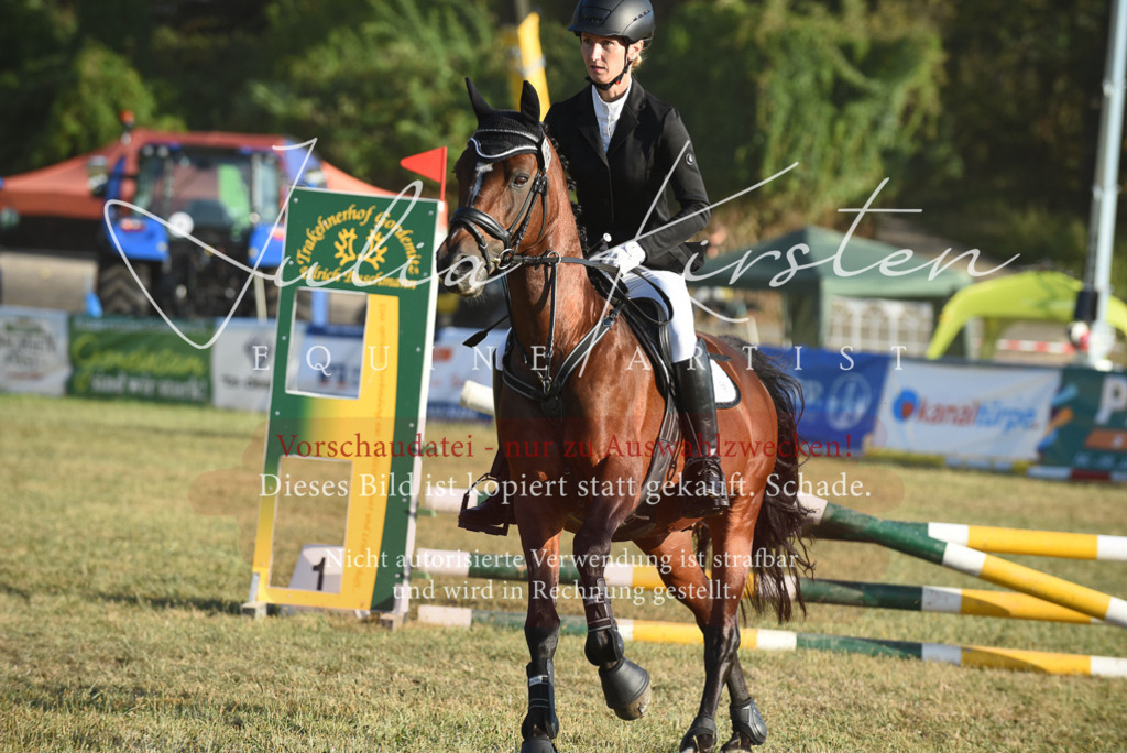 DSC_4924 | Pferde- und Turnierfotografie in Westsachsen. Pferdeportraits, Auftragszeichnungen und intuitive Kunst.