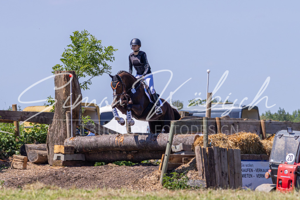 MBFotografie (36) | Tierfotografie Pferde, Hunde, Katzen, Haustiere.
Turnierfotografie Reitturniere, Reiten, Springreiten, Dressur in Hanau, dem Main-Kinzig-Kreis und dem Rhein-Main- Gebiet um Frankfurt