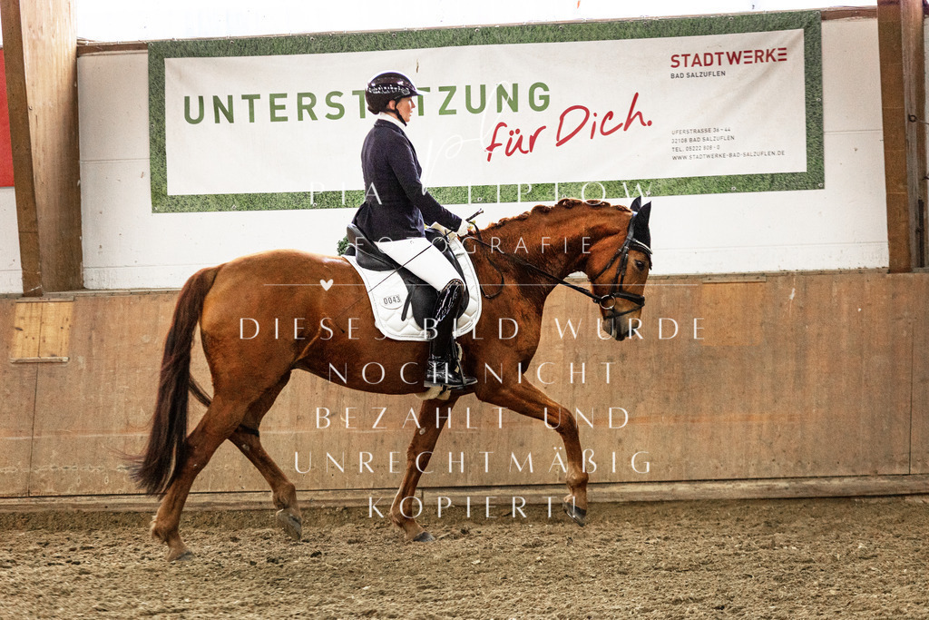 IMGT6979 | pl-fotografie