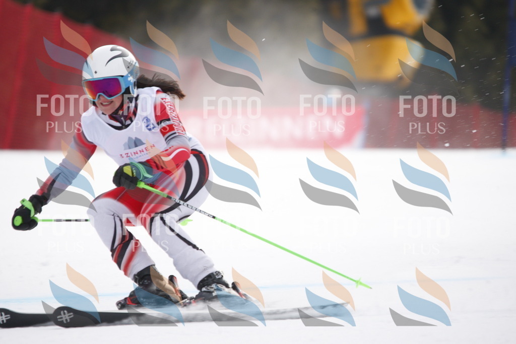 D4931 | holidayphoto