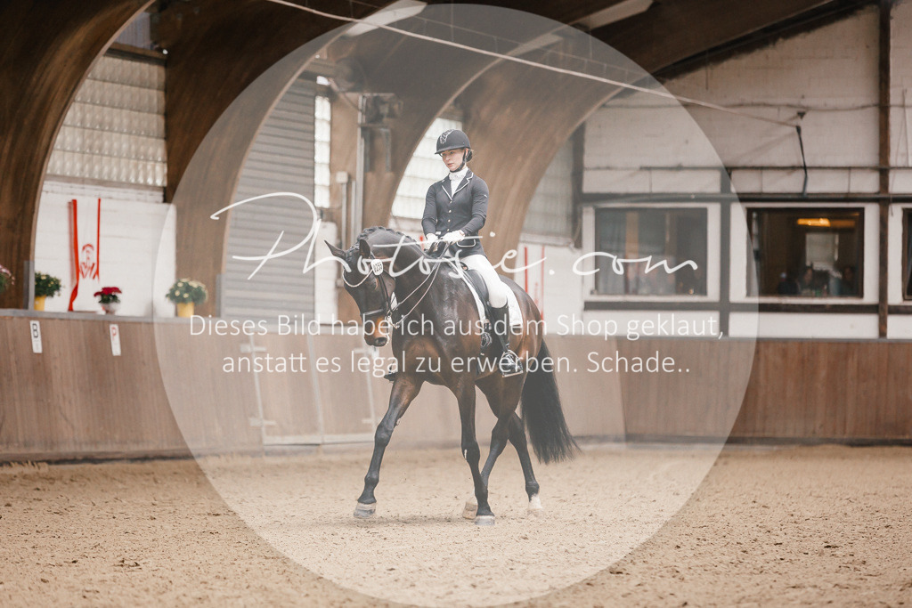3I6A8382 | Stimmungsvolle Portraits und Reitsportfotografie im Ruhrgebiet und im Münsterland.

Pferdefotografie, Hundefotografie, Tierfotografie, Reportagen, Portraits von Tier und Mensch, Turnierfotografie in Bochum, Recklinghausen, Marl, Haltern am See, Dülmen.. - Realisiert mit Pictrs.com