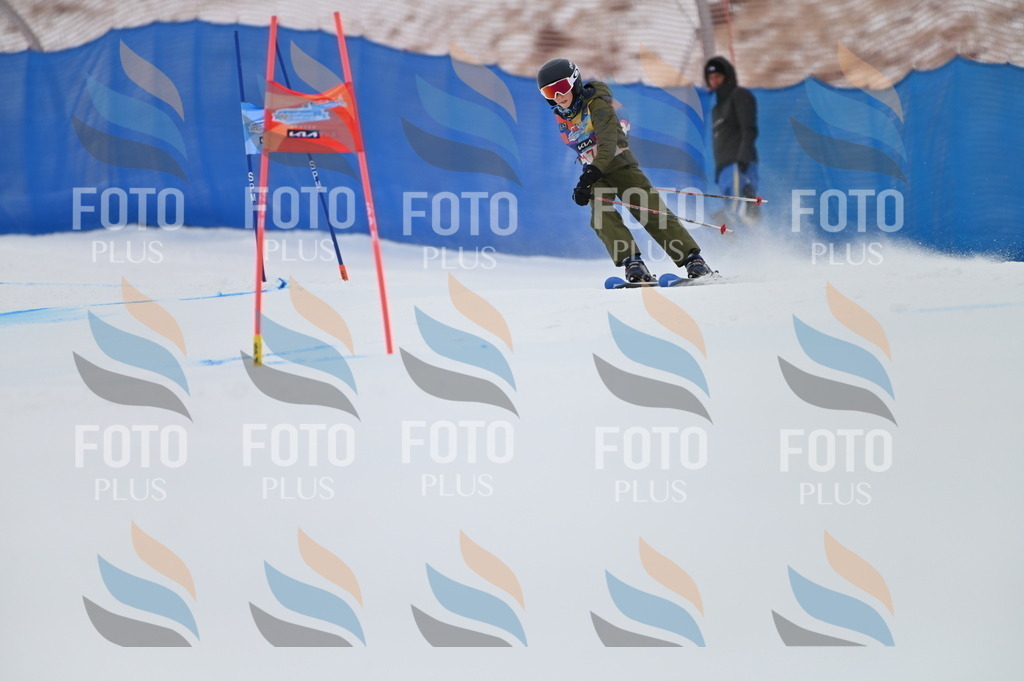 BGV_0772 | holidayphoto