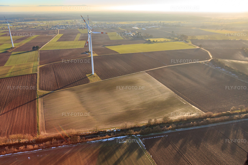 Luftbild: Minfelder Windpark in Minfeld im Bundesland Rheinland-Pfalz in Deutschland. Foto: IMG_076540.jpg vom 05.01.2015 durch Werner Riehm/FLY-FOTO.de