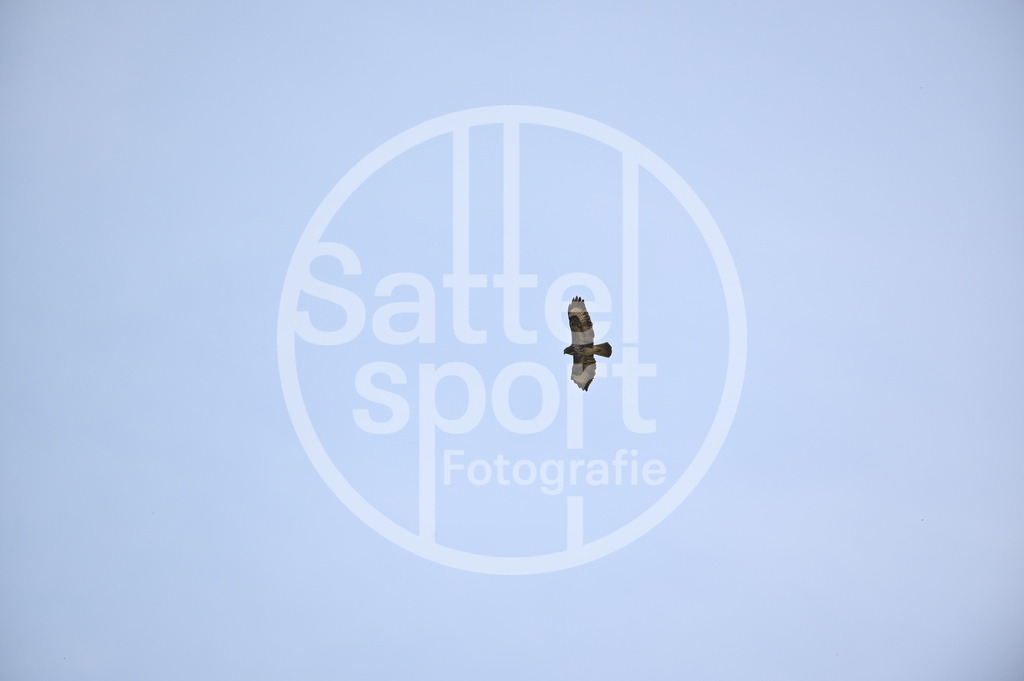 DSC_4565 | sattelsport - Realisiert mit Pictrs.com