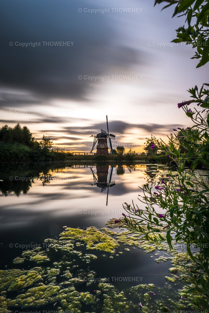 _1006963 | thowehey - Realisiert mit Pictrs.com