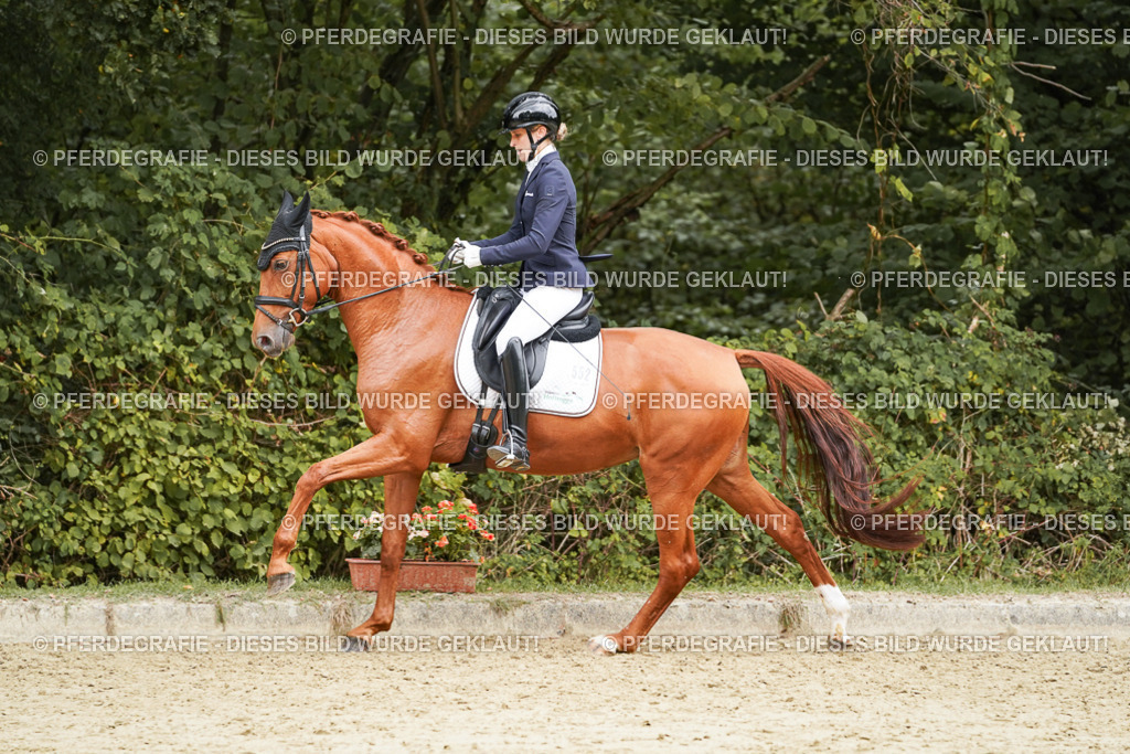 DSC00041 | Pferdegrafie